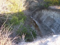 Water Management