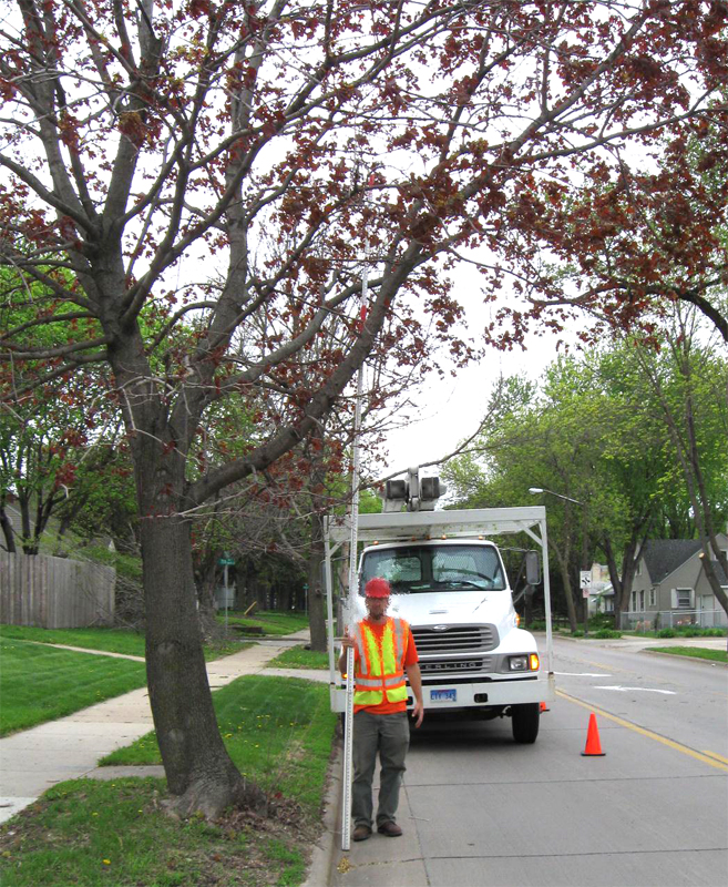 Required Tree Pruning