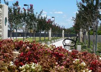 Veterans park